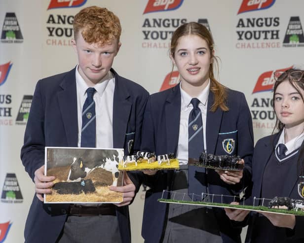 Pictured taking part in the 2023 ABP Angus Youth Challenge Exhibition is the team from Sperrin Integrated College: Cameron McDonald, Olivia Moon and Niamh Scullion. Picture: Submitted