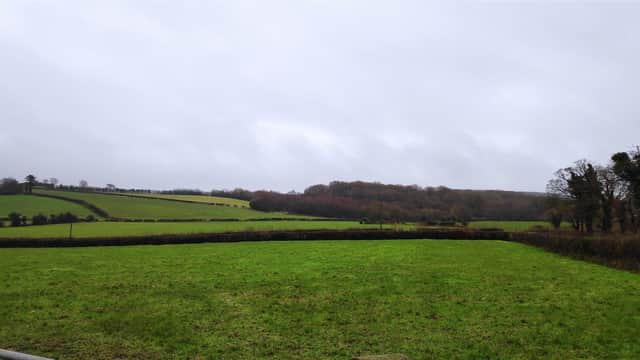 The lands, which extend to around 45 acres, are laid out in good sized fields. Image: Bensons