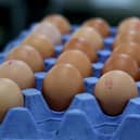 While salmonella is a nasty infection that is serious for some, most of those affected will get over it and make a full recovery.  Picture: Archives