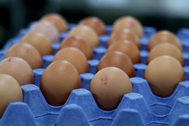 While salmonella is a nasty infection that is serious for some, most of those affected will get over it and make a full recovery.  Picture: Archives