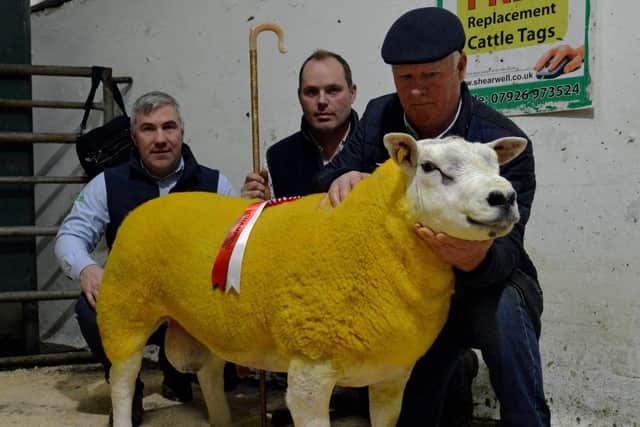 The Glenroe exhibit from Sean McCloskey which claimed the Holden Agri & Fuels Ltd Lisahally Champion at the NI Texel Sheep Breeder’s Show and Sale.  Pictured from left is Stephen Holden, sponsor and judge Alan Glendinning. Pic: Texel Society