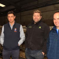 Buoyant trade as dairy stock tops 4,400gns at Dungannon