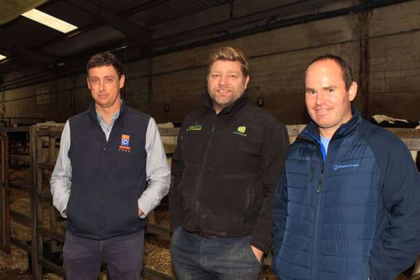 Vendors Simon Haffey, Portadown, and Jason Booth, Stewartstown, Andrew West from Irwin’s Feed. Picture: Julie Hazelton