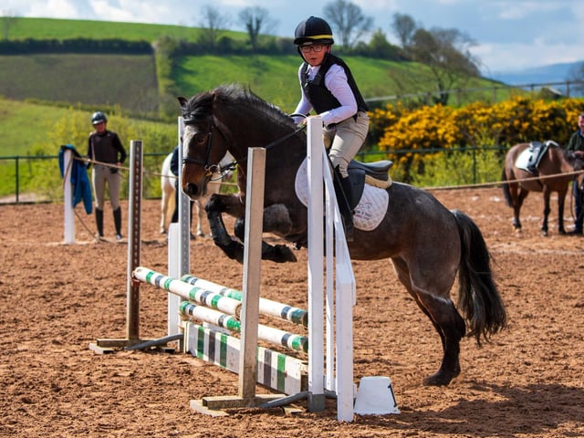 William Steele on Tootsie takes on Class 2. (Pic: Martin O'Neill Photography)