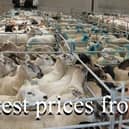 Armoy mart
