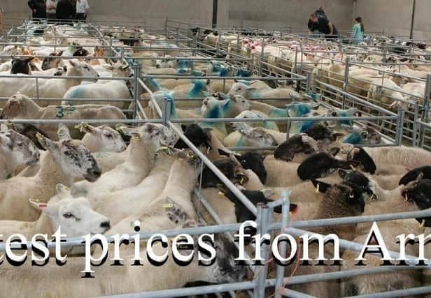 Armoy mart