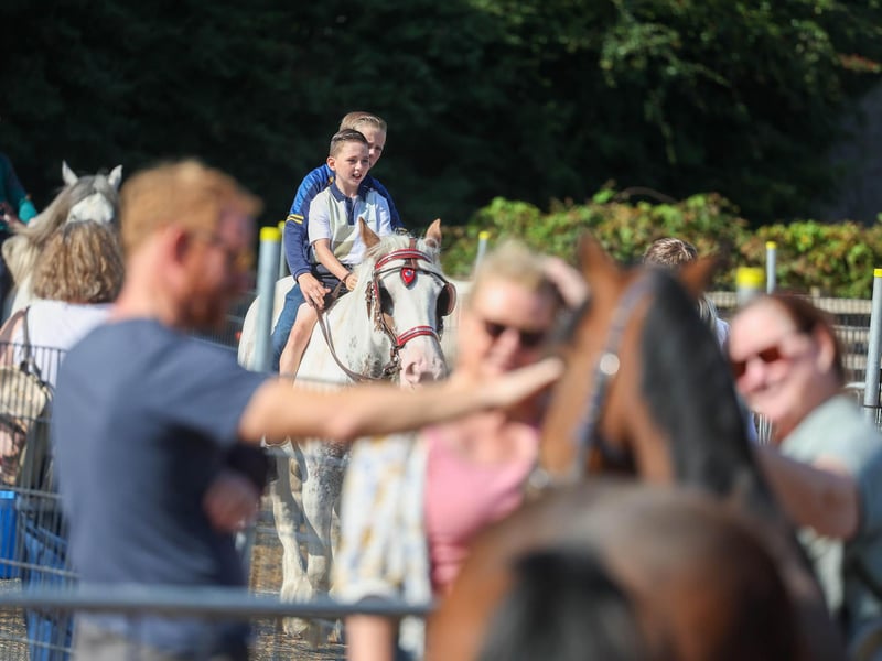 Annual Ould Lammas Fair is held in Ballycastle, Co. Antrim.