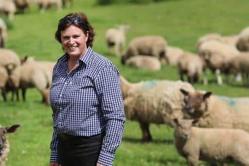 Julie Williams pictured with her flock. (Image courtesy of the Williams family)