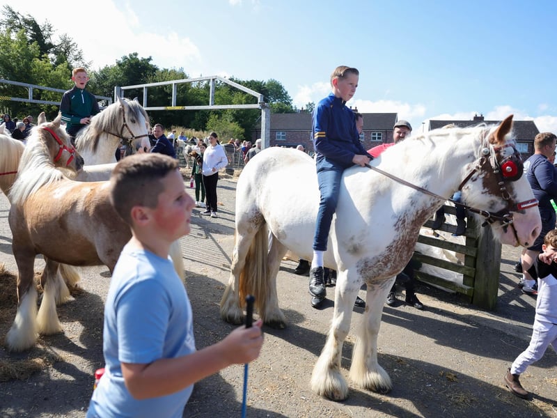 Annual Ould Lammas Fair is held in Ballycastle, Co. Antrim.