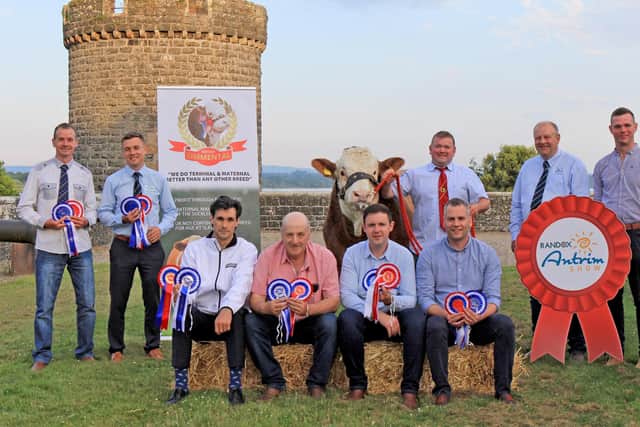 The Northern Ireland Simmental Cattle Breeders will hold its National Show at Randox Antrim Show. Pictured are (front l-r) Marc Coppez, Randox Health; George Robson, Chair of Antrim Show; Andrew Clarke, Chair of Simmentals; Shane McDonald, Vice Chair, Simmentals; (back row) Richard Rodgers; Ryan Godfrey, Fane Valley; William Dodd and his Simmental; Matthew Cunning, Fane Valley; and Ryan Gilmour, Secretary of Simmentals. Photo: Julie Hazelton.