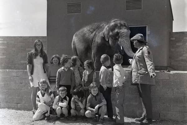 Do you have fond memories of Causeway Safari Park? Then the Causeway Coast and Glen Council’s Museum Services would love to hear from you. Picture: Submitted