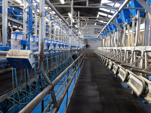 The modern milking parlour at Workman Farms