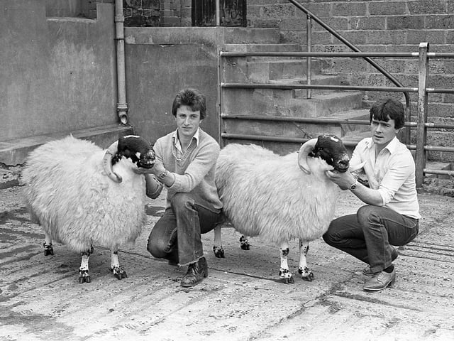 This collection of old photos is from 1981.