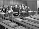The Reverend Ian Paisley, chairman of the NI Assembly agriculture committee, pictured in January 1983 with egg producers at the modern unit of Mr Raymond Lyons, third right, near Hillsborough. Also included are Mr William Fullerton, UFU president, and Mr D Robinson, UFU vice president. Picture: Farming Life/News Letter archives
