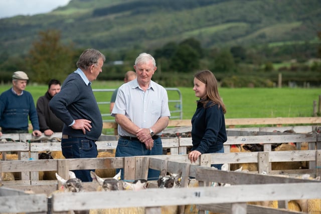William Robinson, James Graham and Emma Knox at the Alexander Gourley open air sheep show and sale at Aghanloo on Tuesday morning. Photo Clive Wasson