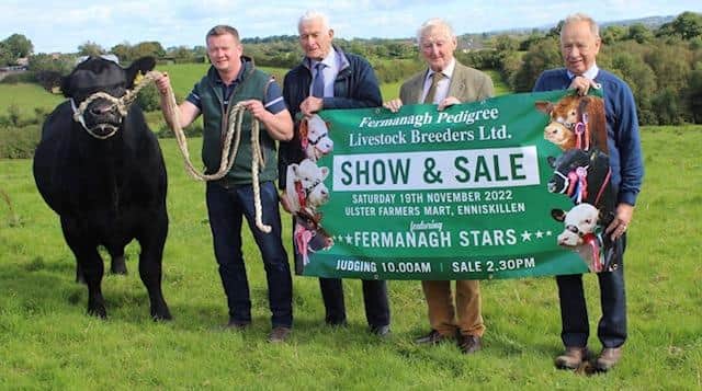 Discussing arrangements are (from left) Thomas Keelagher, committee member FPLB; Robert Brownlee, chairman of Fermanagh Pedigree Livestock Breeders Group Ltd; Stuart Johnston, managing director of Ulster Farmers Mart Co. Ltd; and Edwin Morrison, honorary member FPLB group.
