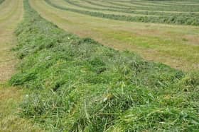 NFU Mutual urges farmers to prioritise safety during silage season.