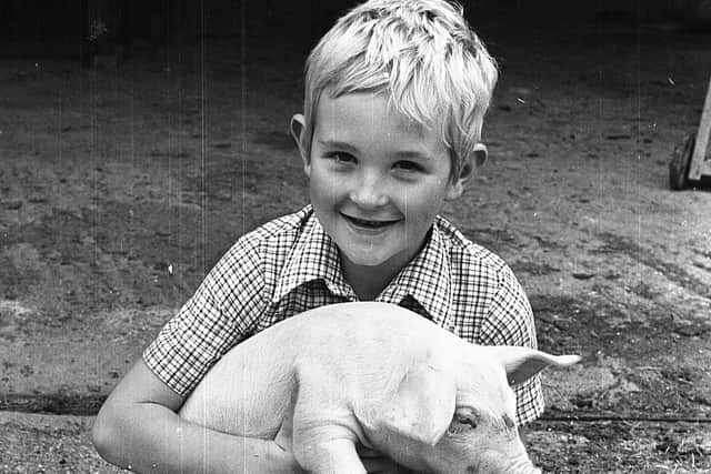 Although only 6½ years old Jonathan Elliott was already a keen farmer, in late August 1980, particularly when it came to helping to feed the piglets on the family farm at the Caledon Road, Aughnacloy. Picture: News Letter archives/Darryl Armitage