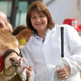 Elizabeth Rodgers to judge the Beef Young Handlers at this year's show. (Pic: RUAS)