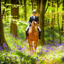 Shannon Magee riding Golden Eye in the bluebell woods at Narrow Water Stud and Equestrian Centre. (Pic: Black Horse Photography)