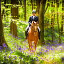 Shannon Magee riding Golden Eye in the bluebell woods at Narrow Water Stud and Equestrian Centre. (Pic: Black Horse Photography)