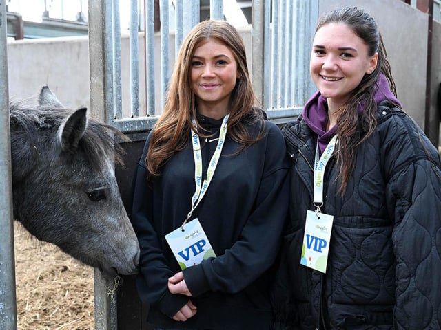 Visitors to Enniskillen Campus Open Day enjoyed meeting CAFRE’s youngstock in the breeding yard.