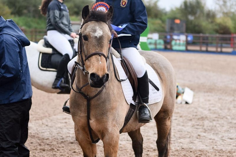 Jack Cowan riding Edentrillick Honey Bee, winners of the 75cm Secondary Individual