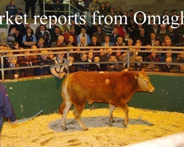 Omagh Mart