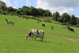 The four UK farming unions have written a joint open letter to milk processors