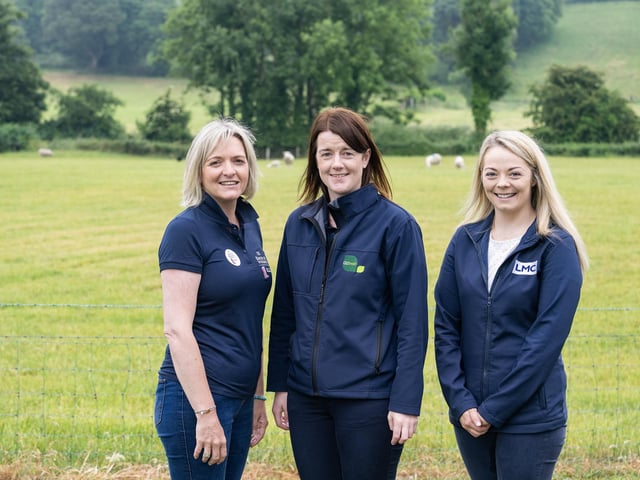 Wendy Gallagher, project manager for Bank of Ireland Open Farm Weekend with Anne Mac Oscar from Gilfresh and Linda Surphlis from the LMCNI. Pic: PulsePR