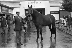 Pictured at the start of August 1980 at the Royal Dublin Horse Show at the RDS is Mr Ralph Loney from Portadown with his first prize winner and reserve champion hunter Nebue the Second. Farming Life declared of the show: “The Royal Dublin Show is still the world’s premier event in the equestrian world. And this year, as in every year, Ulster horsemen and women are at the top of the list in the prestigious Dublin event.” Picture: News Letter archives/Darryl Armitage