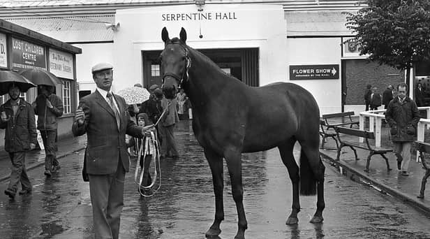 Pictured at the start of August 1980 at the Royal Dublin Horse Show at the RDS is Mr Ralph Loney from Portadown with his first prize winner and reserve champion hunter Nebue the Second. Farming Life declared of the show: “The Royal Dublin Show is still the world’s premier event in the equestrian world. And this year, as in every year, Ulster horsemen and women are at the top of the list in the prestigious Dublin event.” Picture: News Letter archives/Darryl Armitage