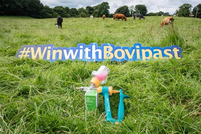 Beef farmers across Northern Ireland are invited to ‘#WinwithBovipast’ this autumn as MSD Animal Health launches an online competition