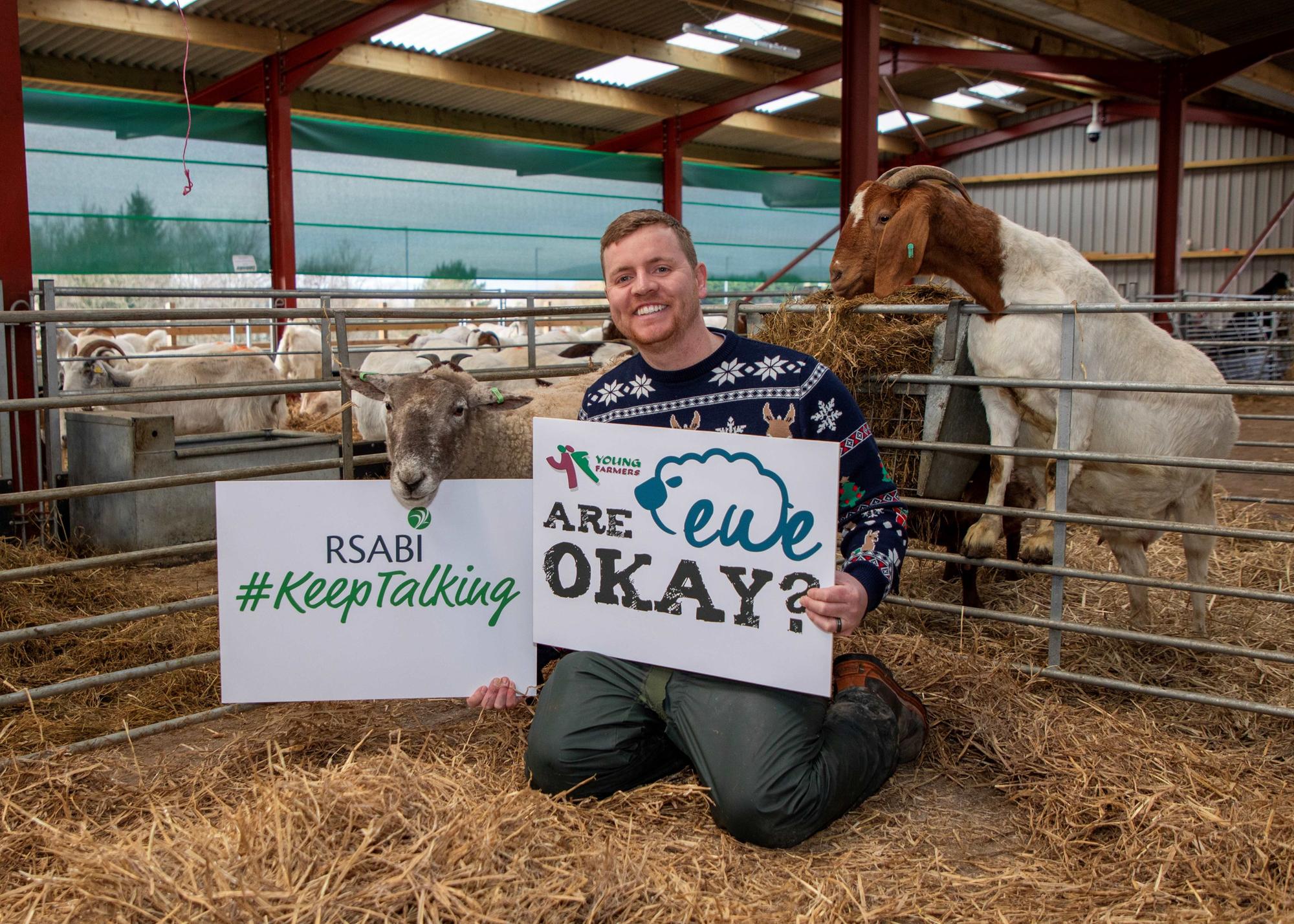 World’s loneliest sheep now an ambassador for mental health message