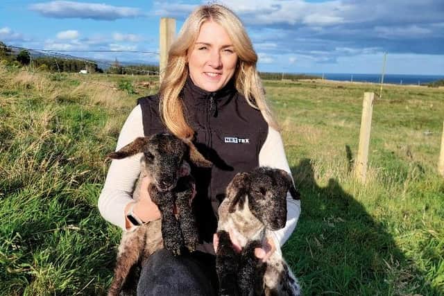 In the weeks ahead of lambing season, farmer and Nettex Area Business Manager Jane Moodie advises sheep farmers and shepherds to set aside time to organise management schedules and take stock of lambing supplies.