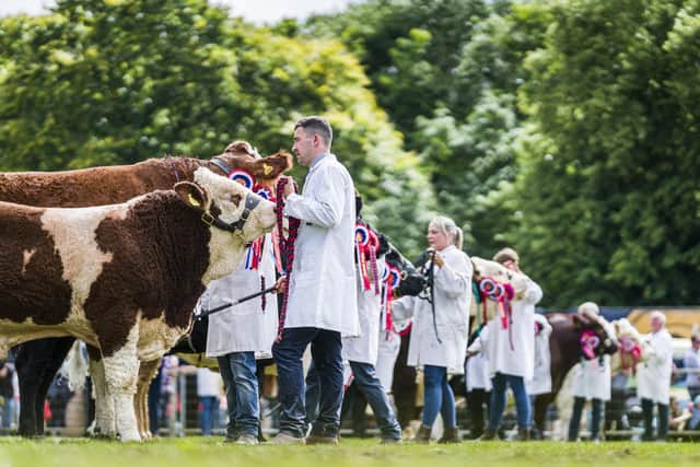 Turriff Show has an impressive number of exhibitor entries lined up for the whopping 1,500 plus classes taking place on Sunday 2 and Monday 3 August.
