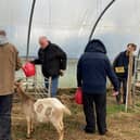 Jubilee Farm is a 13.5-acre space in Larne. (Pic: Rural Support)