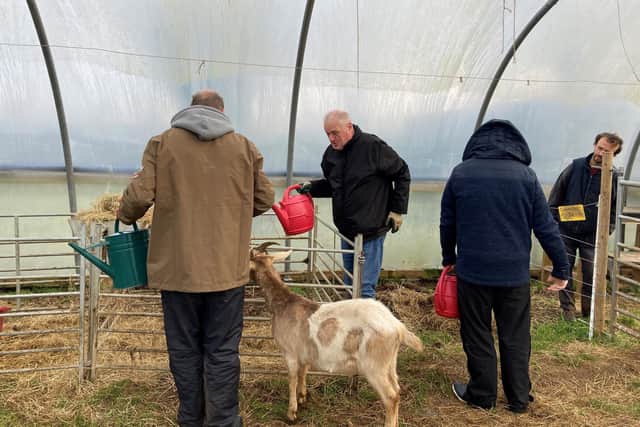 Jubilee Farm is a 13.5-acre space in Larne. (Pic: Rural Support)
