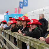 Showgoers at this year's Balmoral Show. Picture: Joanne Knox