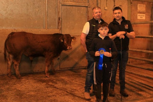 Eamon R Heifers selling to £2640 at Hilltown Mart suckler sale