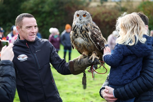 Falconry displays took place at Millennium Park during the Bushmills Salmon and Whiskey Festival.
