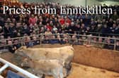 Enniskillen Mart
