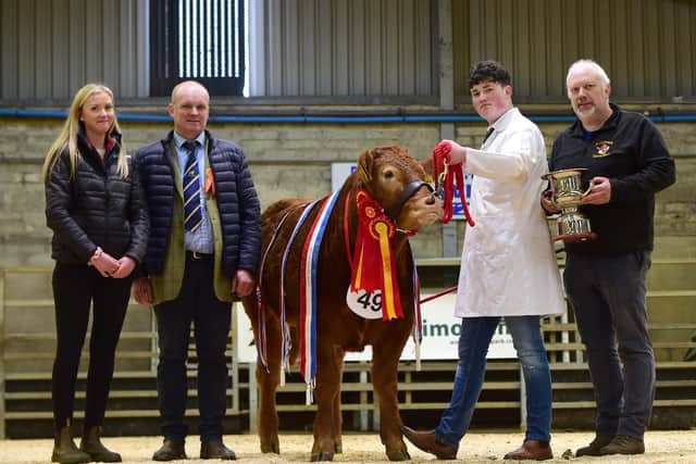 MARCH: Emma Campbell, NILYBC, judge Stephen Illingworth, with Niall and Keith Forsythe, owners of the calf show’s supreme  champion Johnston Toffee. Picture: Kathryn Shaw, Agri-Images