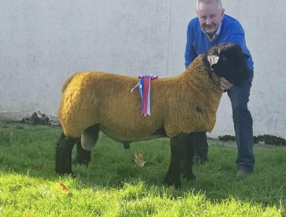 The Champion atthe Omagh sale from S&W Tait sold for 1480gns.