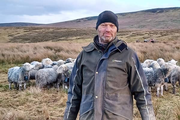 Farmer Ian Bell with Herdwick Sheep, wearing ‘Nofence’ collars at Tarnhouse Farm, RSPB Geltsdale. Picture: Ian Ryding