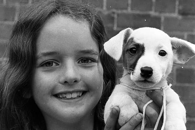 Nine-year-old Gail Greer from Portadown, pictured in August 1980, with her dog, a two-month-old Jack Russell terrier. They were attending the Northern Ireland Landrace Pig Breeders’ show and sale which was held at Portadown. Picture: News Letter archives/Darryl Armitage