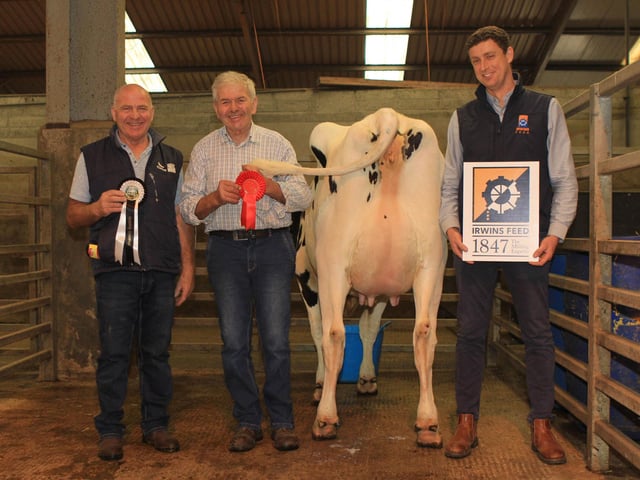 Sam McCormick exhibited the reserve champion Hilltara King Doc Charlotte 8. He was congratulated by judge Ian Agnew; and sponsor Andrew West. Picture: Julie Hazelton