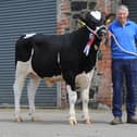 Malcolm McLean, Donaghmore, Dungannon, with the 9,000gns Relough Danstar ET, reserve champion at Holstein NI’s annual bull sale at Kilrea. Picture: Julie Hazelton
