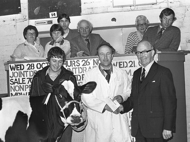 Mr John Gray, managing director of Armaghdown Creameries Ltd, handing over the championship cheque to Fred Duncan from Crumlin at the show and sale at Banbridge in September 1981. With the winning heifer is Fred’s son, Robert. On the rostrum above is auctioneers George Bryson. Picture: Farming Life/News Letter archives