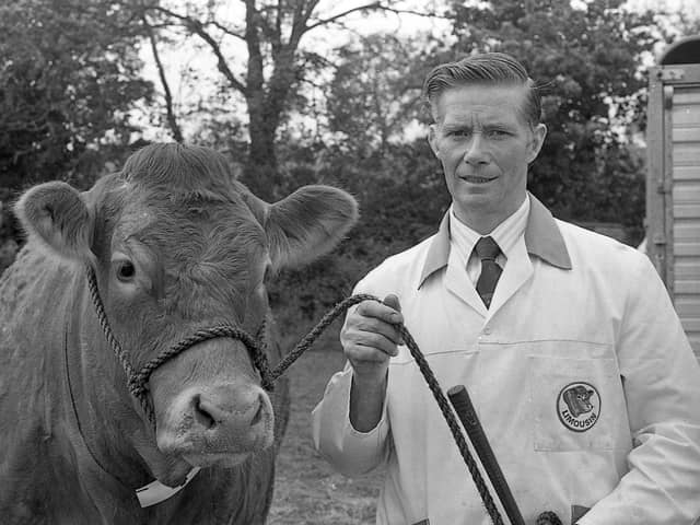 Pictured at the end of May 1992 at the Newry Show is Robert Campbell from Templepatrick. He is pictured with the Limousin champion at the show. Picture: Farming Life archives/Darryl Armitage